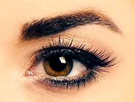 Perfekte Augenbrauen - Talika Eyebrow Lipocils